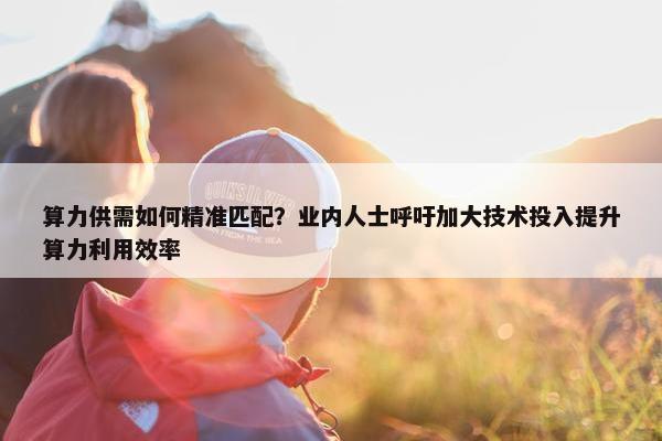 算力供需如何精准匹配？业内人士呼吁加大技术投入提升算力利用效率