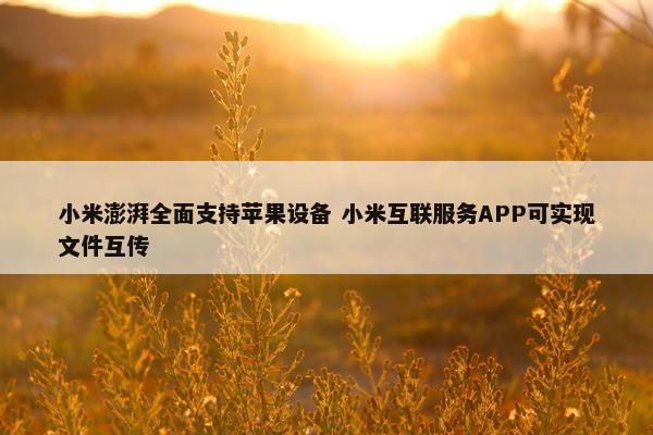 小米澎湃全面支持苹果设备 小米互联服务APP可实现文件互传