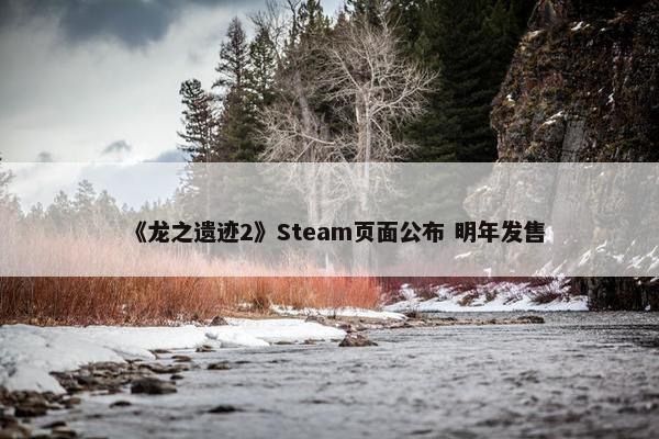 《龙之遗迹2》Steam页面公布 明年发售