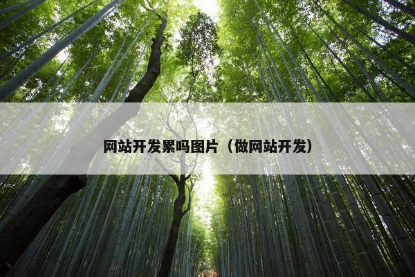 网站开发累吗图片（做网站开发）