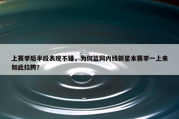 上赛季后半段表现不错，为何篮网内线新星本赛季一上来如此拉胯？