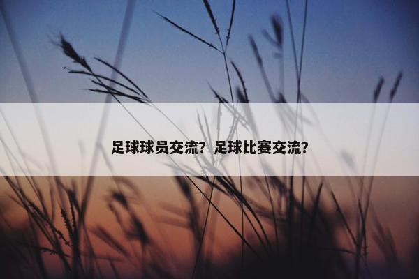 足球球员交流？足球比赛交流？