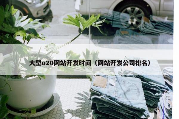 大型o20网站开发时间（网站开发公司排名）