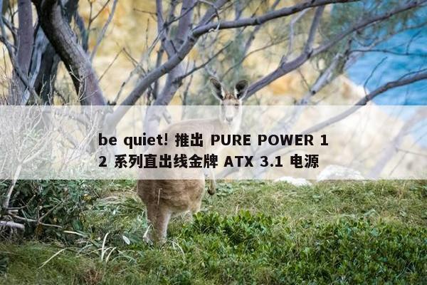 be quiet! 推出 PURE POWER 12 系列直出线金牌 ATX 3.1 电源