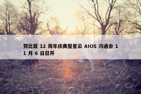 努比亚 12 周年庆典暨星云 AIOS 沟通会 11 月 6 日召开