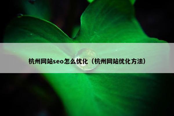 杭州网站seo怎么优化（杭州网站优化方法）