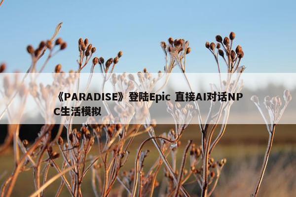 《PARADISE》登陆Epic 直接AI对话NPC生活模拟