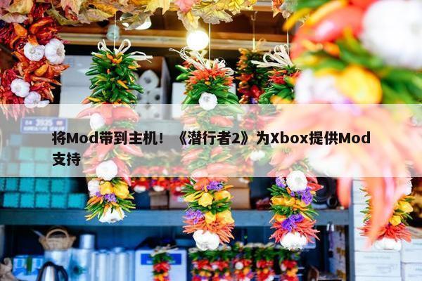 将Mod带到主机！《潜行者2》为Xbox提供Mod支持