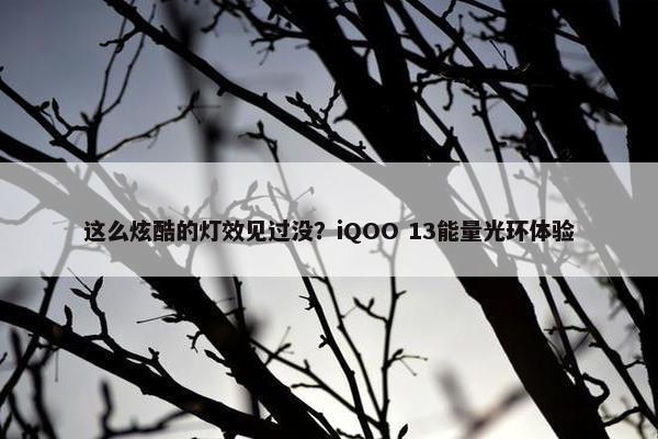 这么炫酷的灯效见过没？iQOO 13能量光环体验