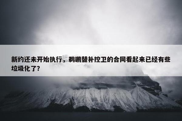 新约还未开始执行，鹈鹕替补控卫的合同看起来已经有些垃圾化了？