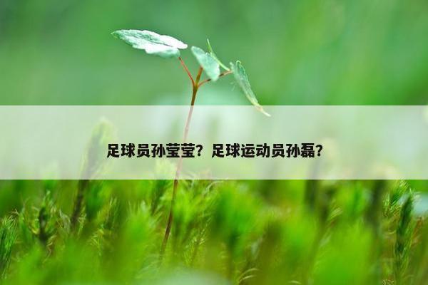 足球员孙莹莹？足球运动员孙磊？