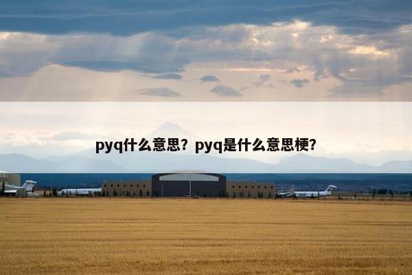 pyq什么意思？pyq是什么意思梗？