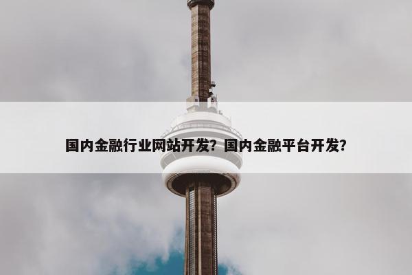 国内金融行业网站开发？国内金融平台开发？