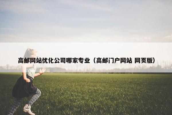 高邮网站优化公司哪家专业（高邮门户网站 网页版）