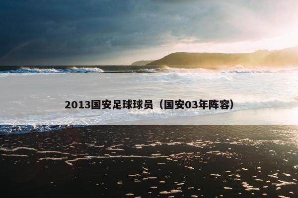 2013国安足球球员（国安03年阵容）