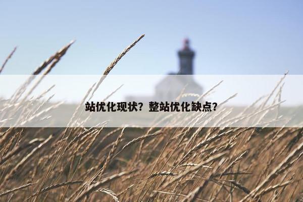 站优化现状？整站优化缺点？