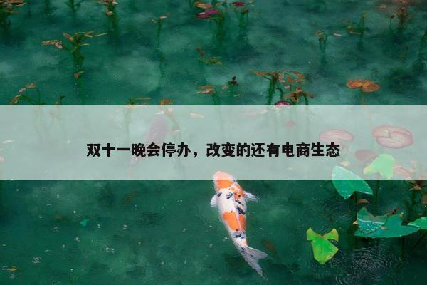 双十一晚会停办，改变的还有电商生态