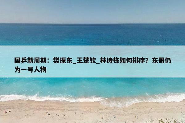 国乒新周期：樊振东_王楚钦_林诗栋如何排序？东哥仍为一号人物