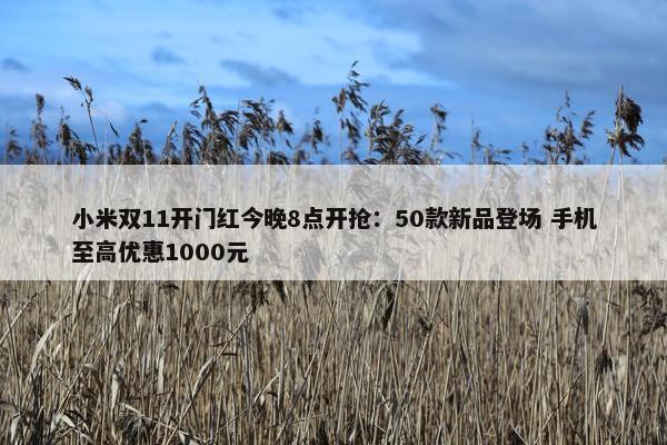 小米双11开门红今晚8点开抢：50款新品登场 手机至高优惠1000元