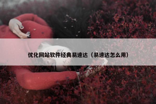 优化网站软件经典易速达（易速达怎么用）