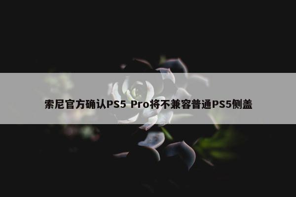 索尼官方确认PS5 Pro将不兼容普通PS5侧盖