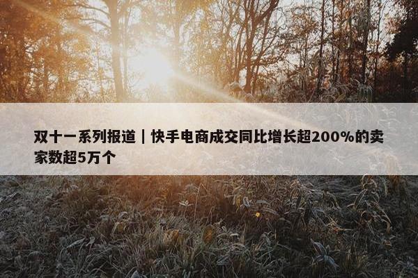 双十一系列报道｜快手电商成交同比增长超200%的卖家数超5万个