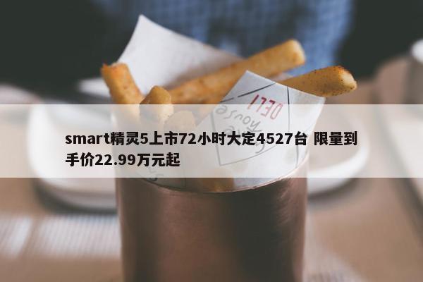 smart精灵5上市72小时大定4527台 限量到手价22.99万元起