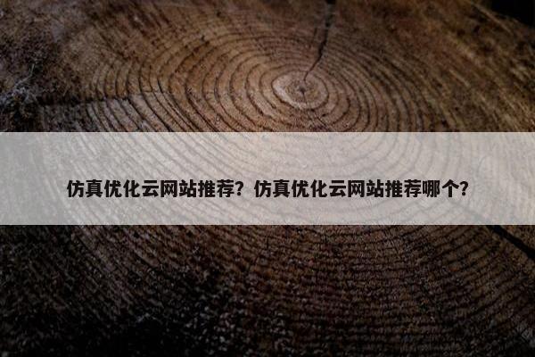 仿真优化云网站推荐？仿真优化云网站推荐哪个？