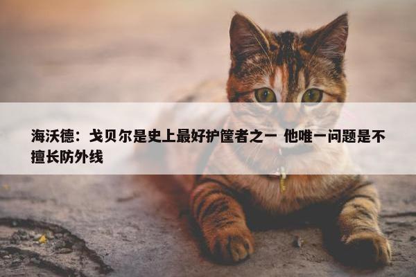 海沃德：戈贝尔是史上最好护筐者之一 他唯一问题是不擅长防外线