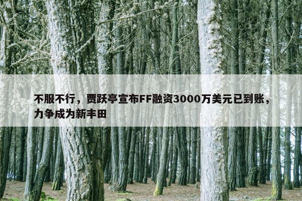 不服不行，贾跃亭宣布FF融资3000万美元已到账，力争成为新丰田