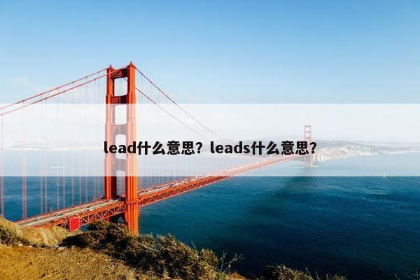 lead什么意思？leads什么意思？