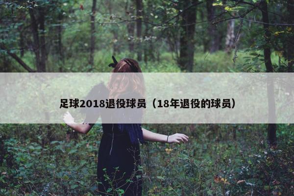 足球2018退役球员（18年退役的球员）