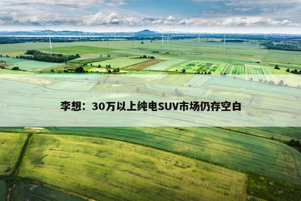 李想：30万以上纯电SUV市场仍存空白