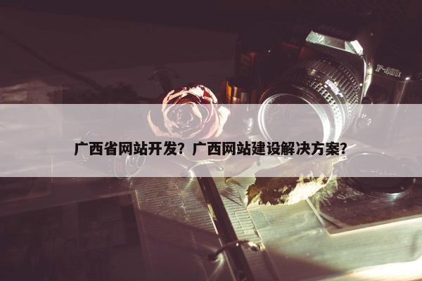 广西省网站开发？广西网站建设解决方案？