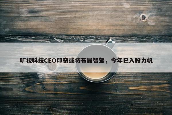 旷视科技CEO印奇或将布局智驾，今年已入股力帆