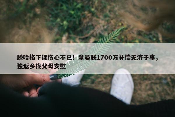 滕哈格下课伤心不已！拿曼联1700万补偿无济于事，独返乡找父母安慰