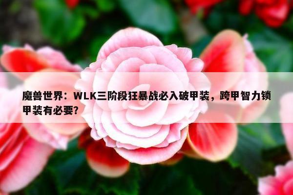 魔兽世界：WLK三阶段狂暴战必入破甲装，跨甲智力锁甲装有必要？