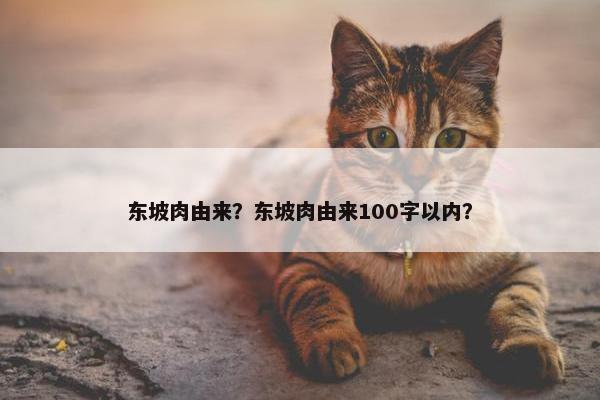 东坡肉由来？东坡肉由来100字以内？