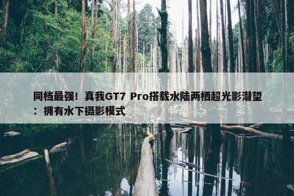 同档最强！真我GT7 Pro搭载水陆两栖超光影潜望：拥有水下摄影模式