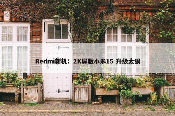 Redmi新机：2K屏版小米15 升级太狠