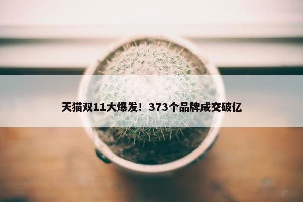 天猫双11大爆发！373个品牌成交破亿