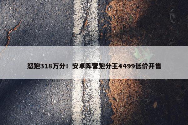 怒跑318万分！安卓阵营跑分王4499低价开售