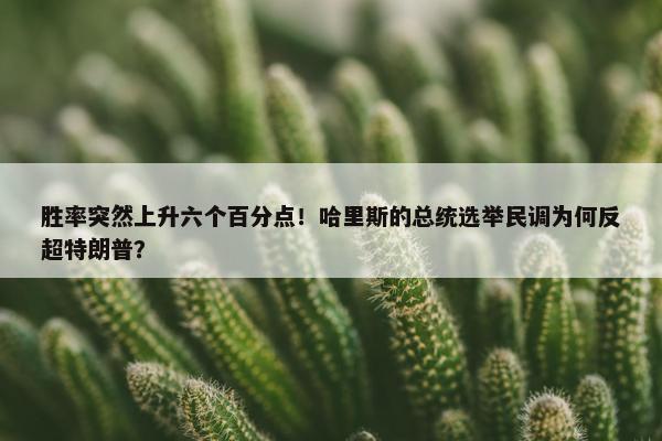 胜率突然上升六个百分点！哈里斯的总统选举民调为何反超特朗普？