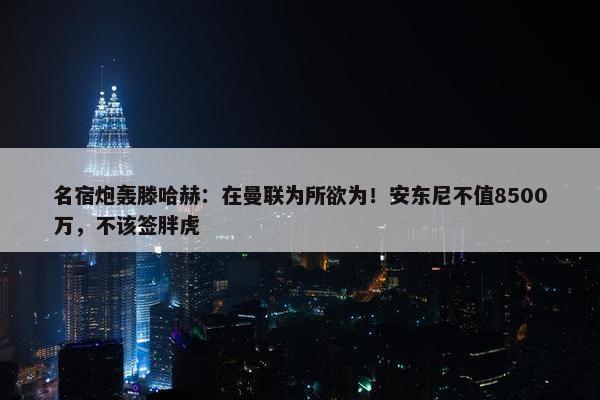 名宿炮轰滕哈赫：在曼联为所欲为！安东尼不值8500万，不该签胖虎