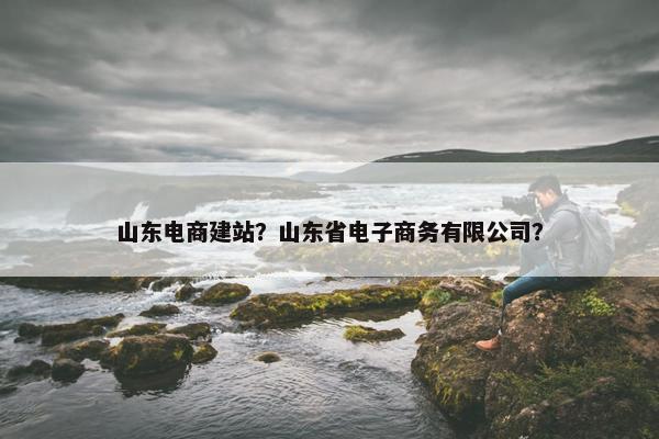 山东电商建站？山东省电子商务有限公司？