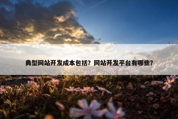 典型网站开发成本包括？网站开发平台有哪些？