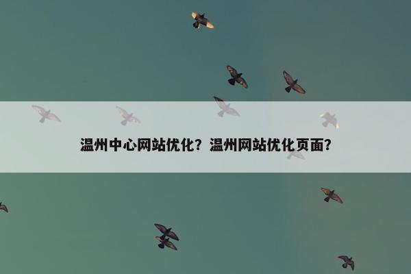 温州中心网站优化？温州网站优化页面？