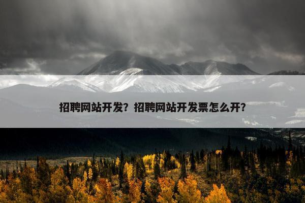 招聘网站开发？招聘网站开发票怎么开？