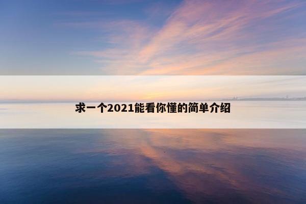 求一个2021能看你懂的简单介绍