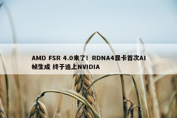 AMD FSR 4.0来了！RDNA4显卡首次AI帧生成 终于追上NVIDIA